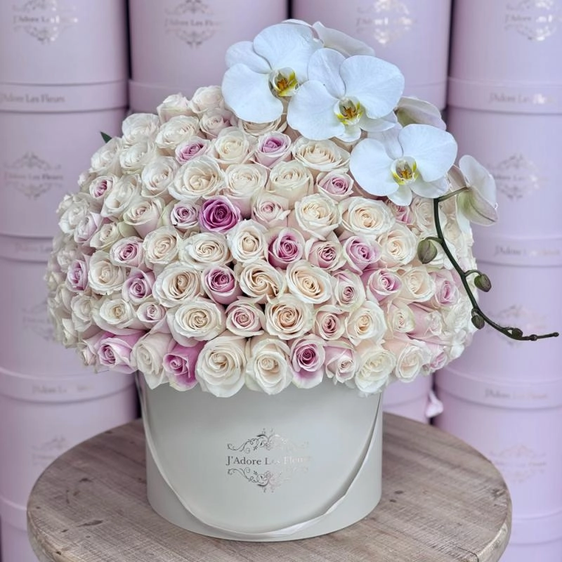 Jadore Rosita and Ivory Signature