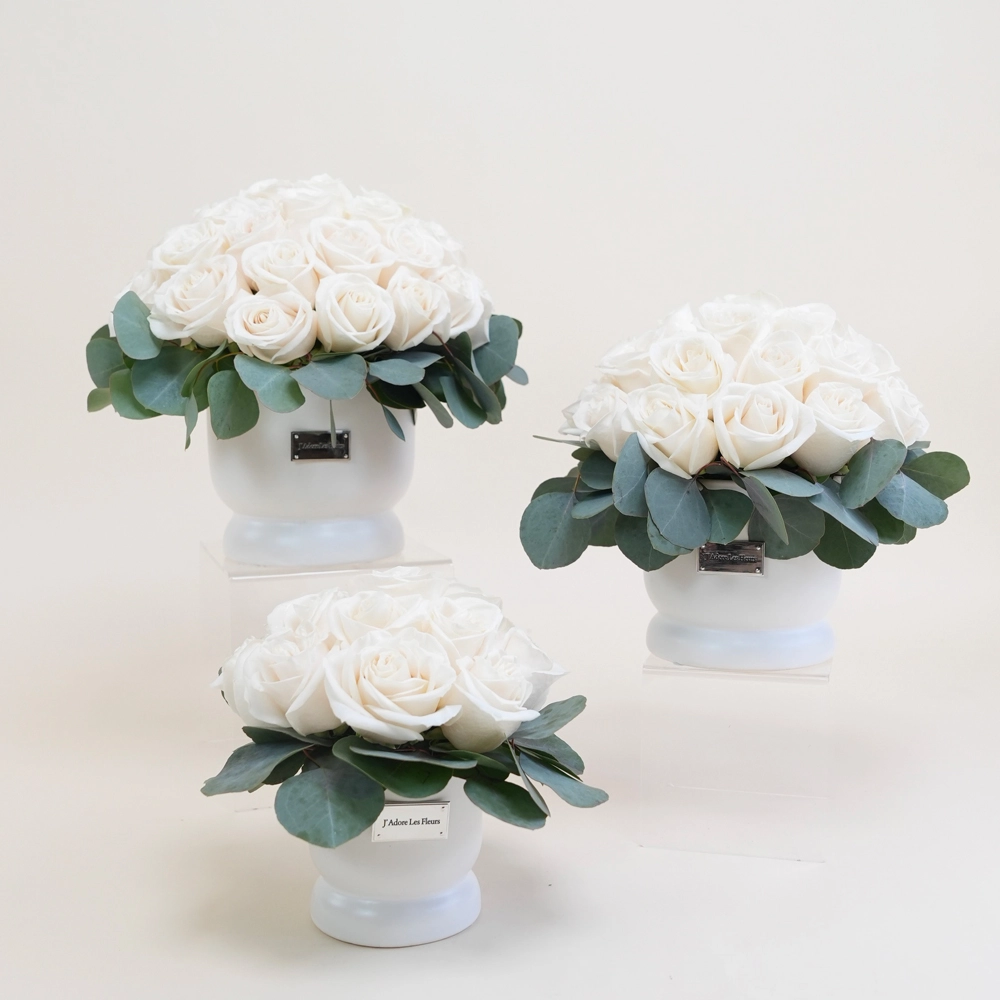 White Compote Vase Collection