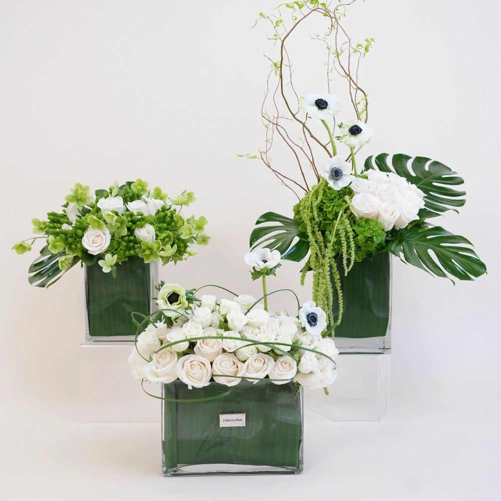 Square Glass Vase Collection