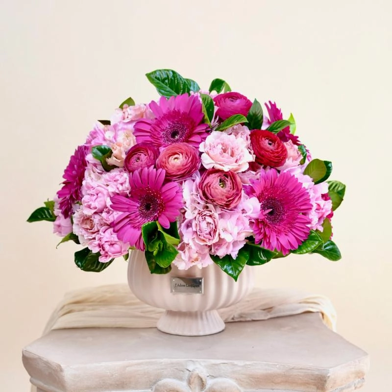 Jadore Pink Cabana
