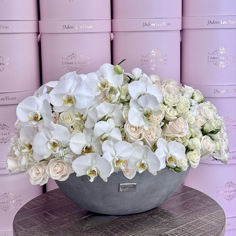 Orchid Prestige