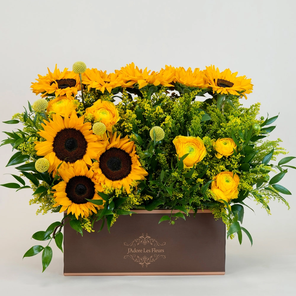 Sunflower Autumn Moment