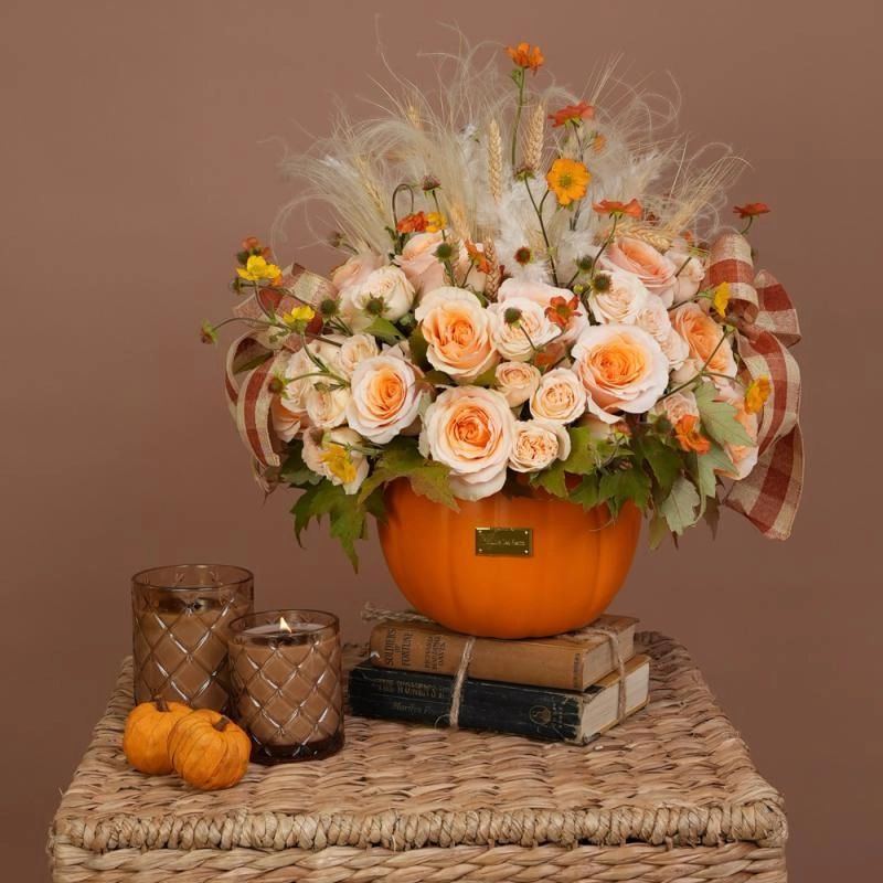 Jadore Pumpkin Patch Garden