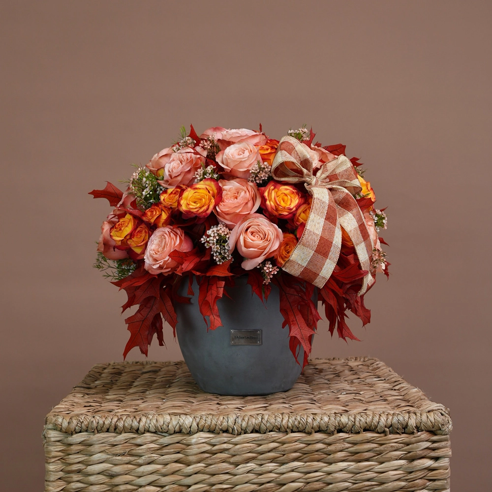 Maple Rose