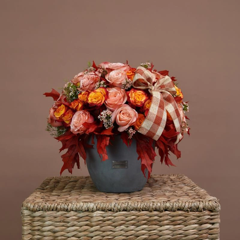 Jadore Maple Rose