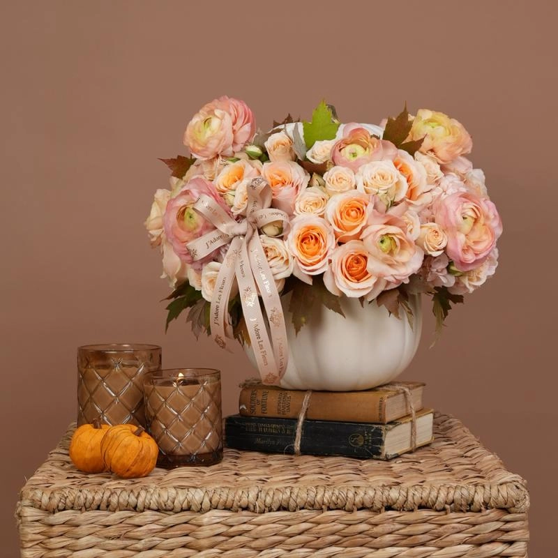 Jadore Blushwood Garden Pumpkin