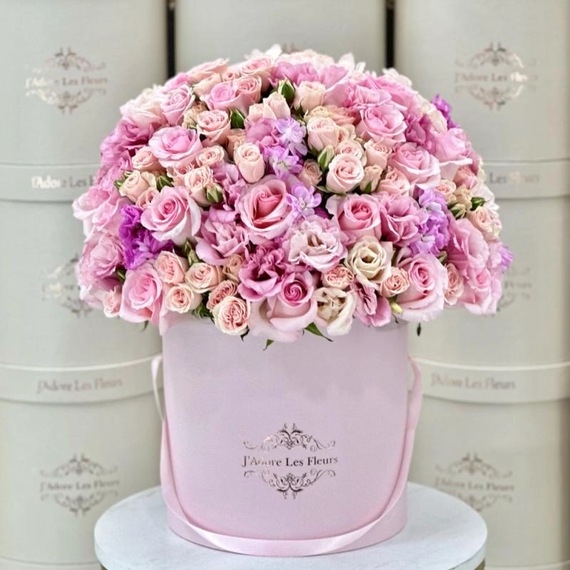 Jadore Pinkfull