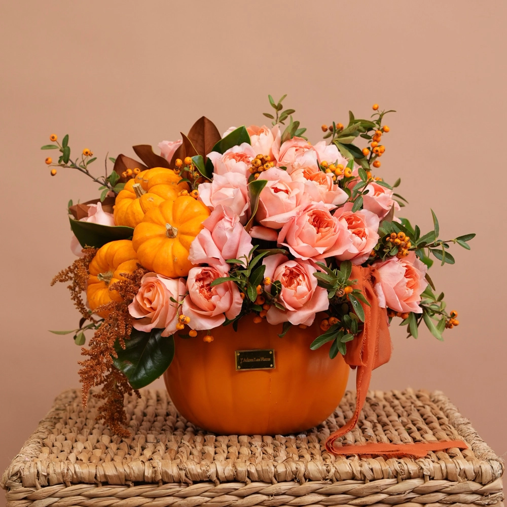 Peach Pumpkin Garden